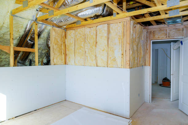 Best Blown-in Insulation in Belleair, FL