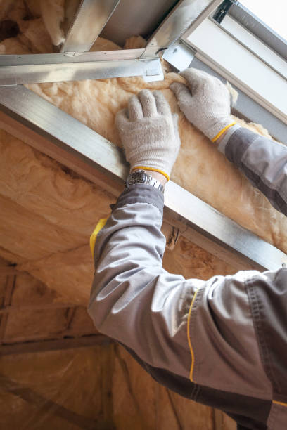 Best Energy Efficiency Insulation in Belleair, FL