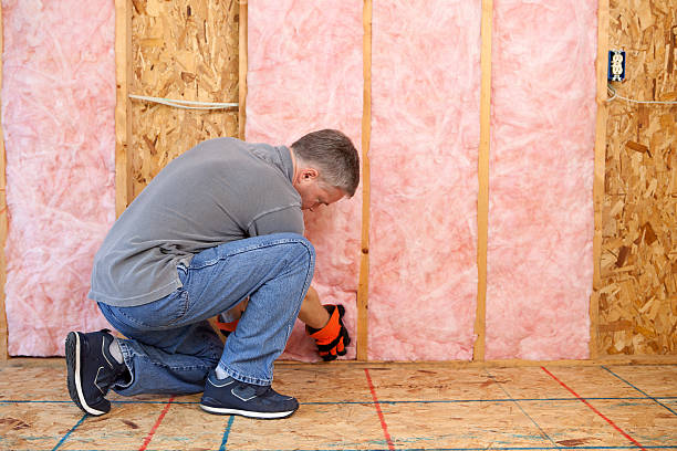 Best Specialized Insulation Services in Belleair, FL