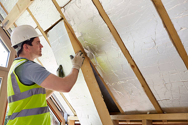 Types of Insulation We Offer in Belleair, FL